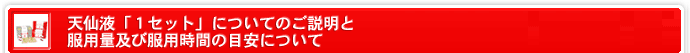 「1セット」についての説明