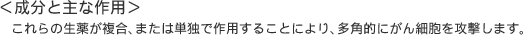 �����Ǝ�ȍ�p
